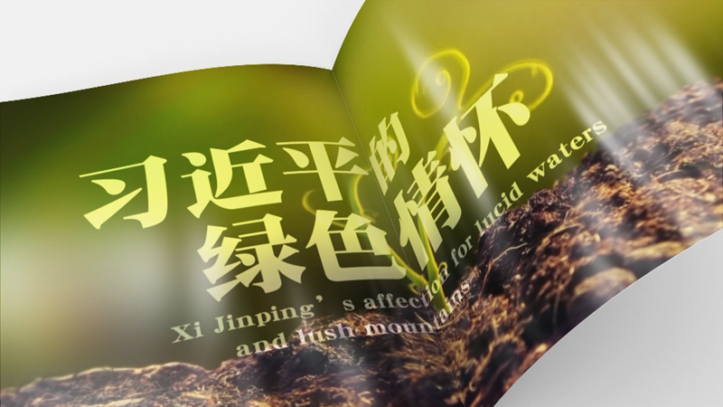 ȫ���B�� | ��(x��)��ƽ�ľGɫ���